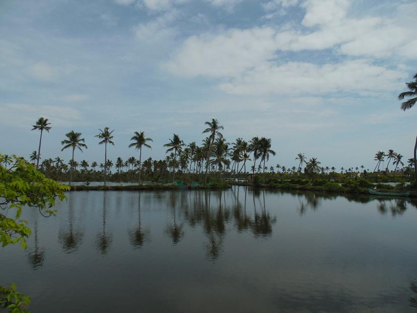 Kumbalangi Nights